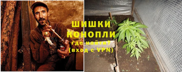 ПСИЛОЦИБИНОВЫЕ ГРИБЫ Дмитровск