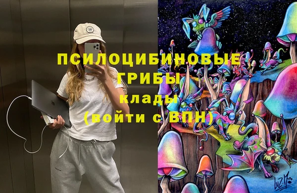 ПСИЛОЦИБИНОВЫЕ ГРИБЫ Дмитровск